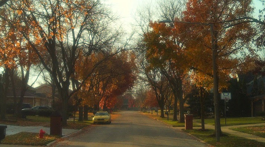 CampSnap Pro with mist filter, hero image