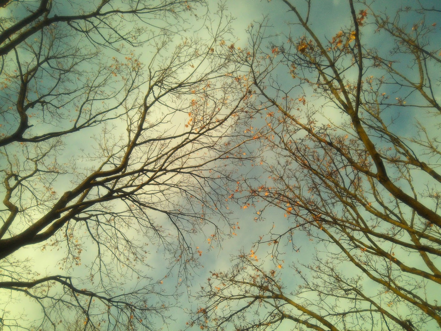 CampSnap Pro with mist filter, sample image 2