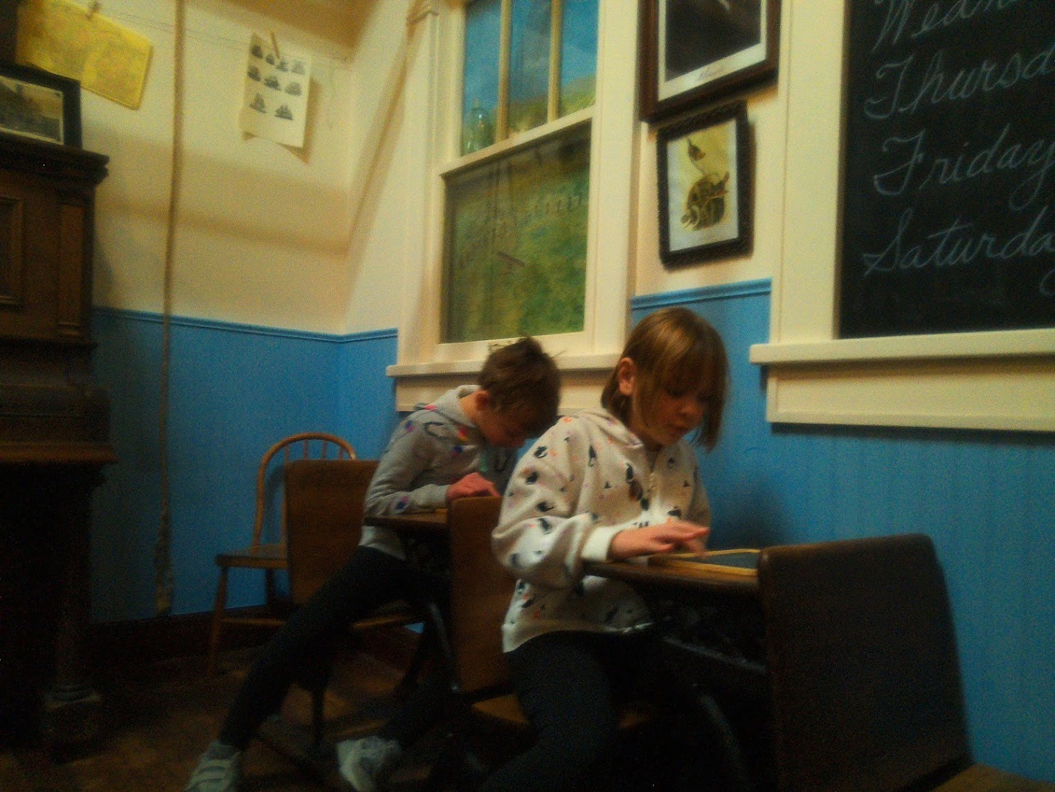 CampSnap Pro with mist filter, sample image 6