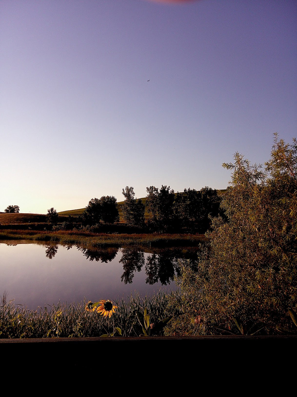 CampSnap image memorare 2