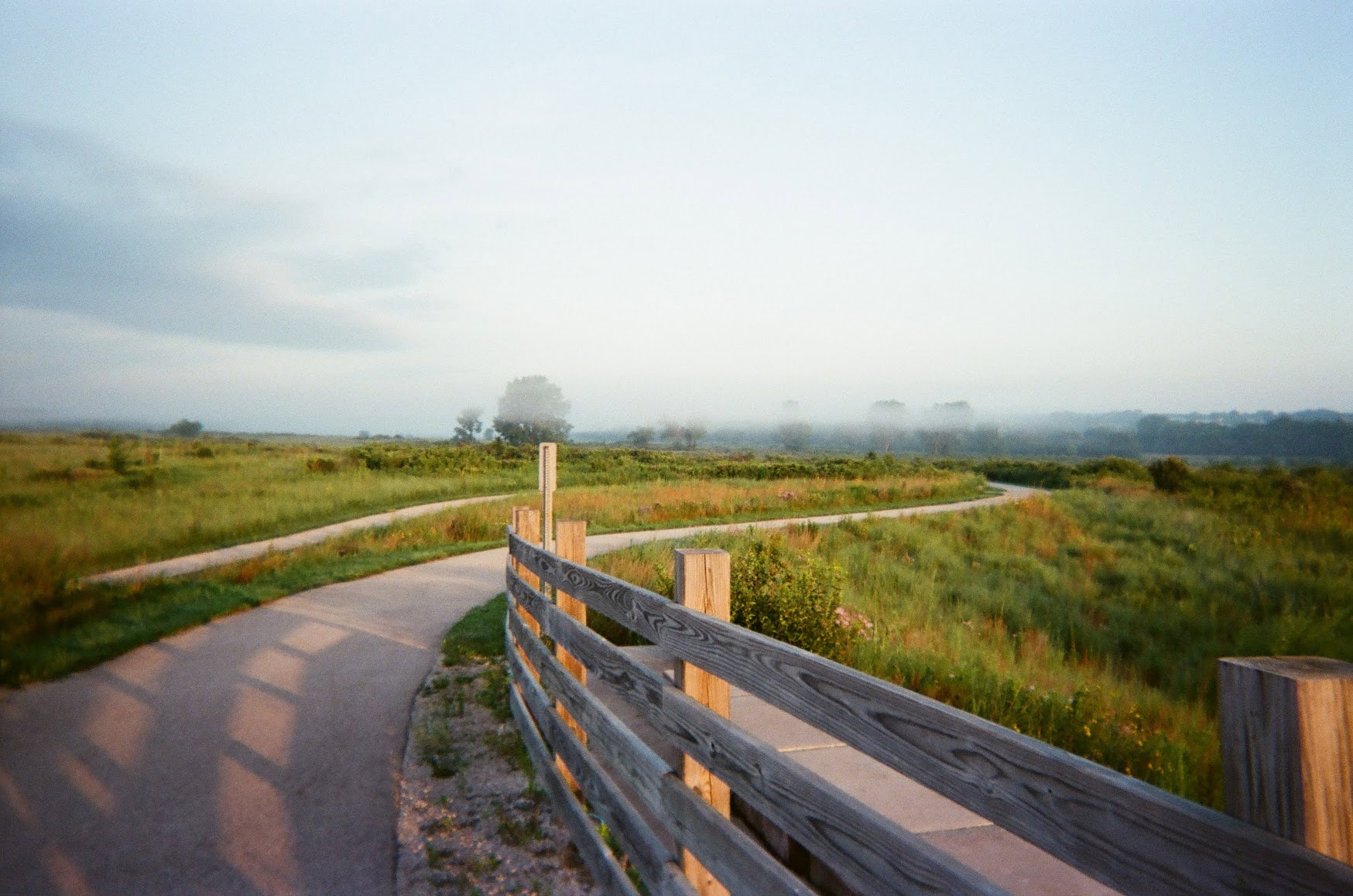 Fujifilm Disposable dawn photo