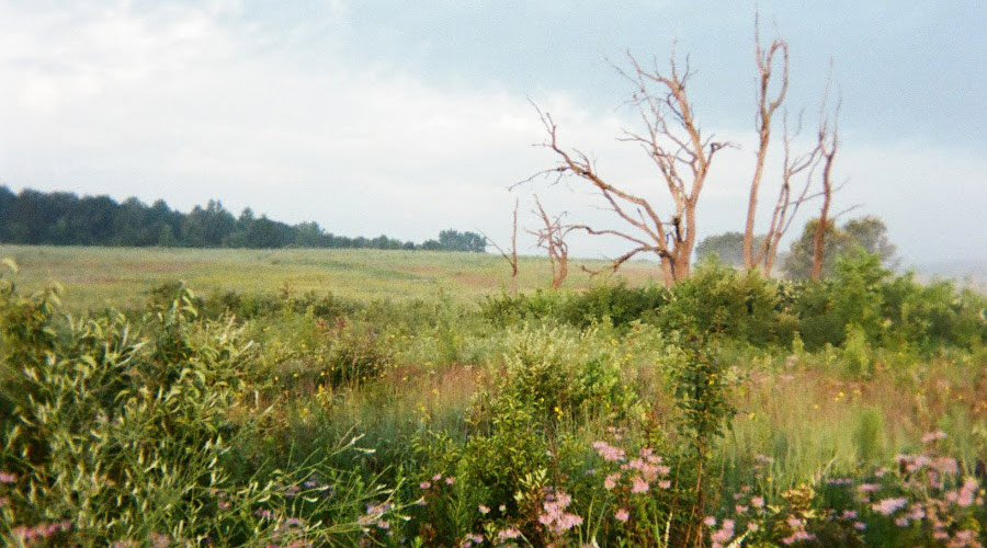 Fujifilm QuickSnap hero image