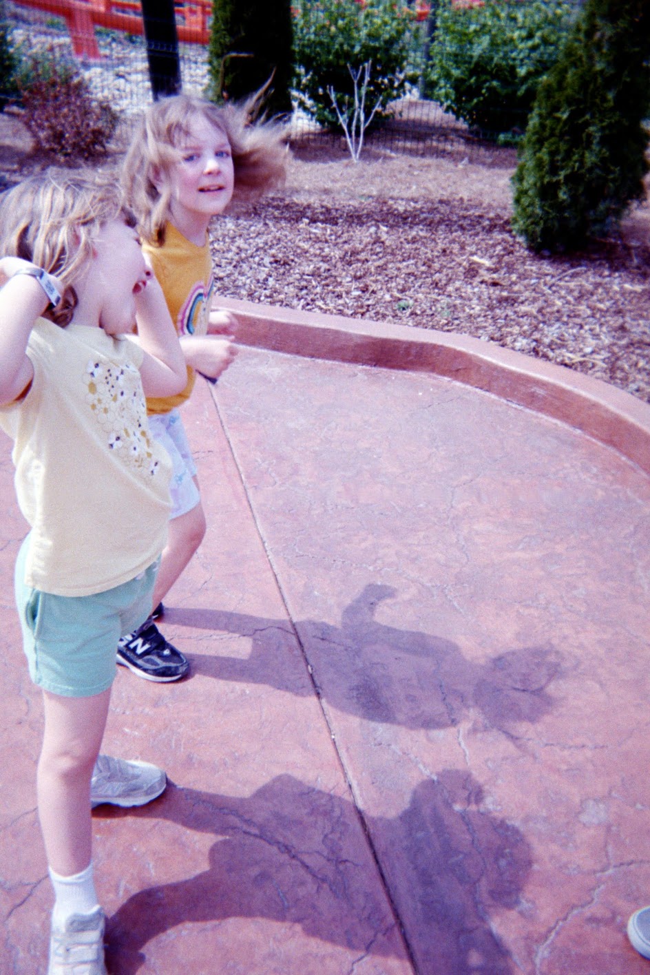 Fujifilm Disposable Sample image 3