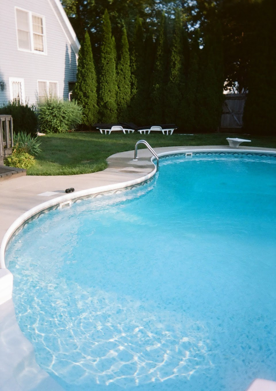 Portra 160 Kodak Ektar H35 Sample image 4