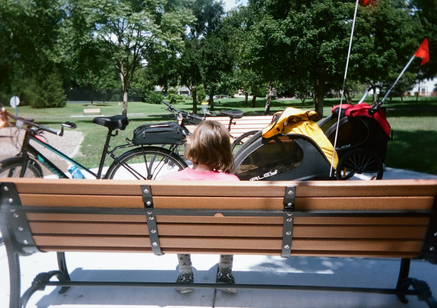 Portra 160 Kodak Ektar H35 Sample image 7