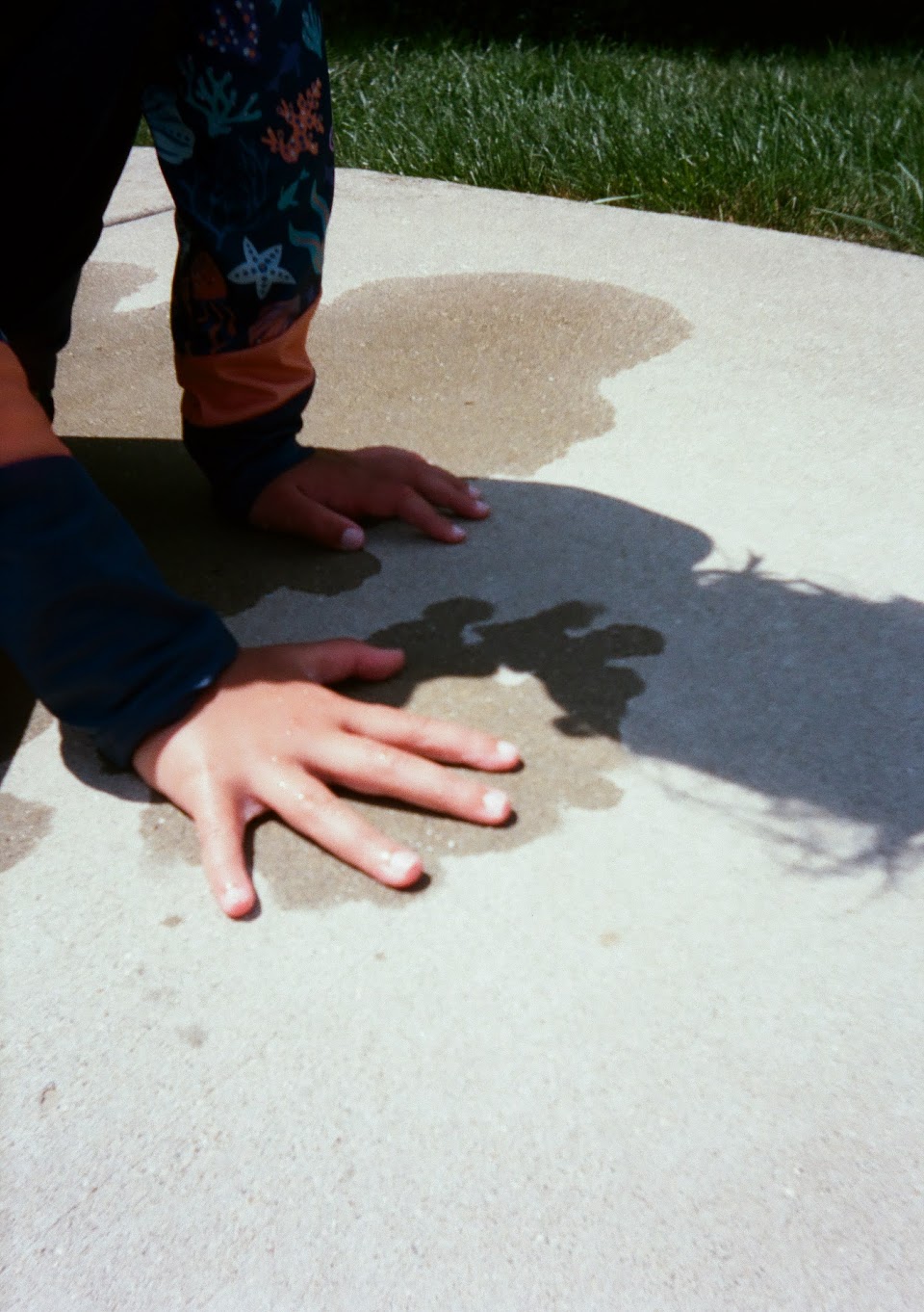 Portra 160 Kodak Ektar H35 Sample image 8