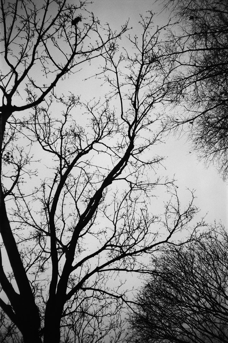 Lomo MC-A test photo